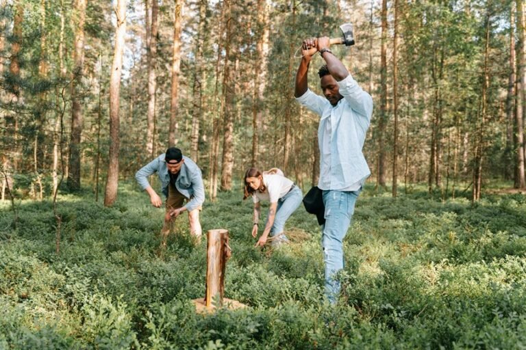 call activity log details