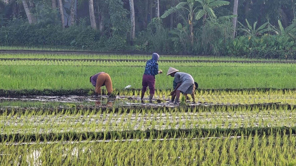 unghotoi update announcement today